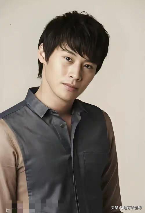 韩国明星 郑,韩国娱乐圈的璀璨新星